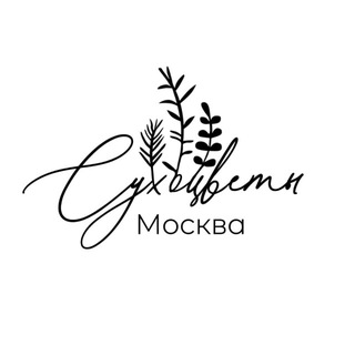Telegram profile photo for Сухоцветы Москва | Стабилизированные цветы
