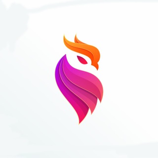 Telegram profile photo for NYX Info & Updates