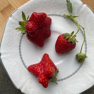 Telegram profile photo for 7chocolat не только шоколад