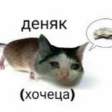 Telegram profile photo for николай шалтай балтай