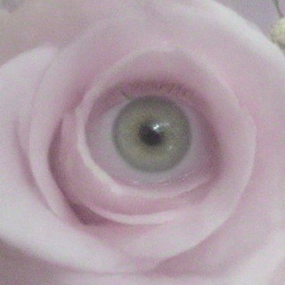 Telegram profile photo for ⏤͟͟͞͞shrew🪷dingle⏤͟͟͞͞