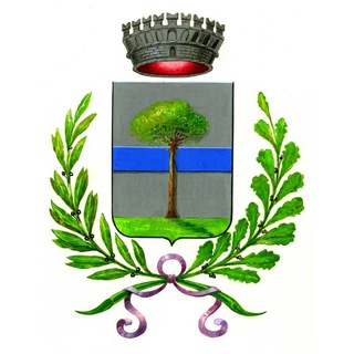 Telegram profile photo for Refrontolo Informa