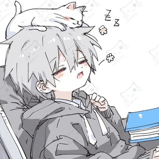 Telegram profile photo for ✨晚睡号铺✈️