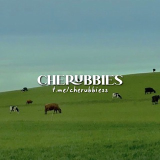 Telegram profile photo for Cherubbies, CLOSE