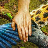 Telegram profile photo for Biology for students