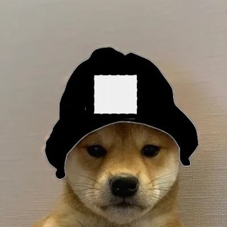 Telegram profile photo for Nick_solll calls