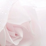 Telegram profile photo for πππππππ ΰΌ*Β·Λ