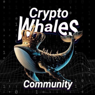 Telegram profile photo for Crypto whales YouTube ๐๐ฅ
