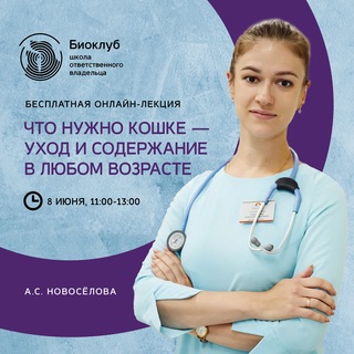 Telegram profile photo for Что нужно кошке — уход и содержание в любом возрасте. Розыгрыш