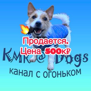 Telegram profile photo for KMR@Dogs-смешные животные, кошки, собаки, обезьяны.