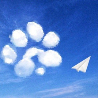 Telegram profile photo for PAWS Community