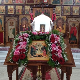 Telegram profile photo for БРЁВНА И РЁБРА