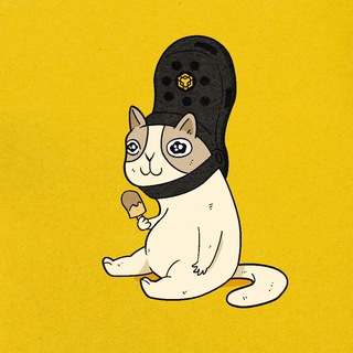 Telegram profile photo for BNBCAT