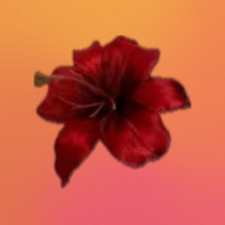 Telegram profile photo for †