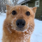 Telegram profile photo for ТёлКино