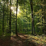 Telegram profile photo for 1