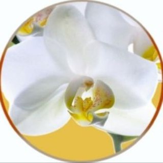 Telegram profile photo for Infloressens - Karine Lépouchard