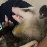 Telegram profile photo for Graveyard