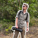 Telegram profile photo for BIRDS-N-ROLL