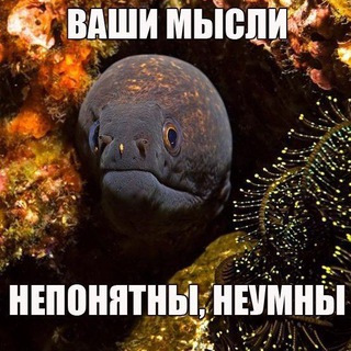 Telegram profile photo for Понаходил