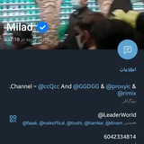 Telegram profile photo for CCQCC SCAM 🔴