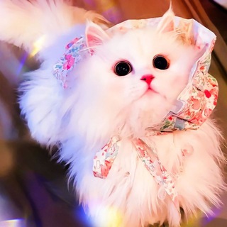 Telegram profile photo for ๊บ โ ๐ฎ๐ฎ๐ ๐๐ผ๐๐ฒ๐น ๐แจ ึถึธึข ห.