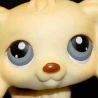 Telegram profile photo for 🐶Пусси и Паппи🐱