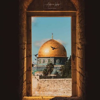 Telegram profile photo for أحمد || أبو عبدالعزيز
