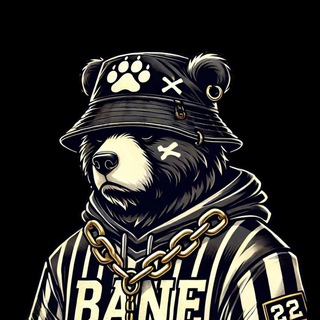 Telegram profile photo for Bane.crypt📈📊