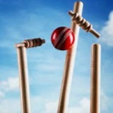 Telegram profile photo for Mindful Punter 🏏