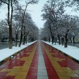 Telegram profile photo for 🌺 کهن دیار بیجارگروس🌺 از دریچه لنز جمشید فرجوند