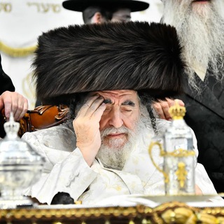 Telegram profile photo for מלכות ויז'ניץ