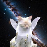 Telegram profile photo for $MANIFEST CTO PORTAL