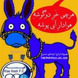 Telegram profile photo for ارتــش کیــسه ســـوز