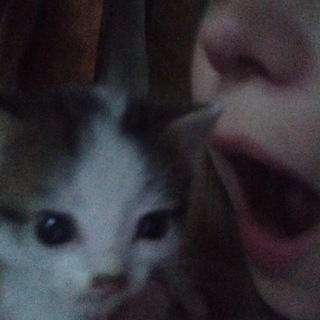 Telegram profile photo for переходник