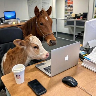 Telegram profile photo for 走过路过不要错过《集团直招,0进0出》