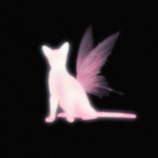 Telegram profile photo for Łυмı
