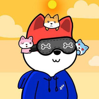 Telegram group profile photo for 😴 Sleepyshibs CTO 😴