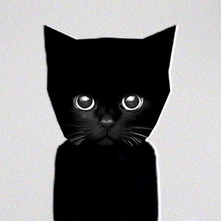 Telegram profile photo for $bro's security portal
