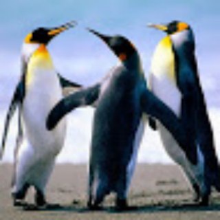 Telegram profile photo for kiến thức VÔ TẬN