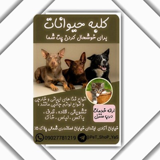Telegram profile photo for 𝐀𝐍𝐈𝐌𝐀𝐋 𝐇𝐎𝐔𝐒𝐄 🏡🐶🐱🐾