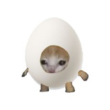 Telegram profile photo for Egg Cat