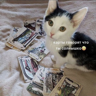 Telegram profile photo for Цены
