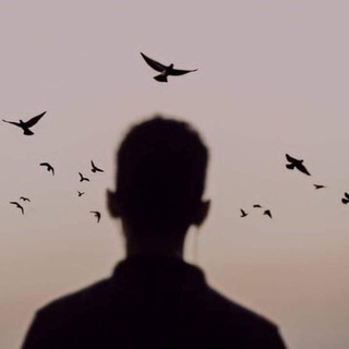 Telegram profile photo for something of calm and comfort zone
