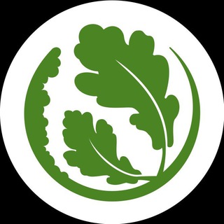 Telegram profile photo for Баня #1 Анталия канал