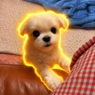 Telegram profile photo for bella
