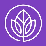 Telegram profile photo for WellMindology