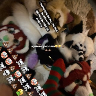 Telegram profile photo for ┆𝚜𝚊𝚕𝚎 𝚏𝚞𝚛𝚜𝚞𝚒𝚝𝚜 𝚛𝚎𝚍 𝙿𝚒𝚗𝚍𝚊’𝚜 ┆