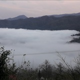 Telegram profile photo for طب سنتی
