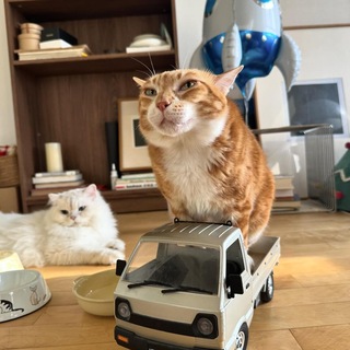 Telegram profile photo for какегурья кюдс